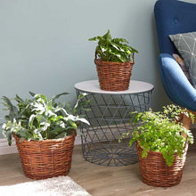 Load image into Gallery viewer, Décor Baskets - Trio -(Pack of three) Natural planter Baskets
